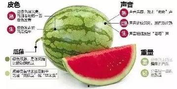 昭通网红吃瓜群微信