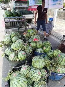 文山酒吧吃瓜事件网红,网红直播引发的网络狂欢与争议