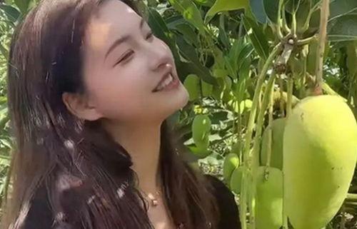 吃瓜骂农村人的网红是谁,网友热议