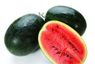 黑瓜吃料正能量官网最新51,51期精彩内容，带你领略生活美好瞬间