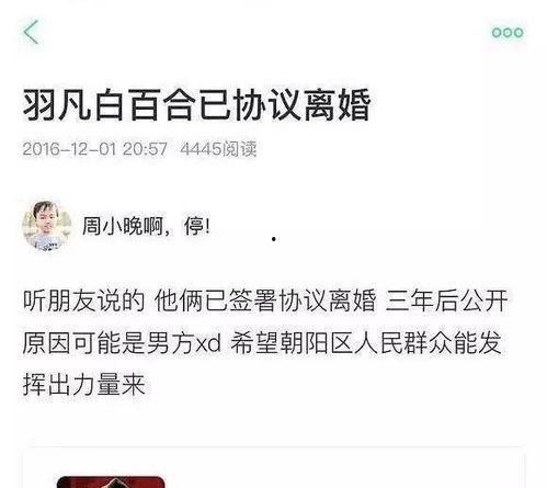 贵圈吃瓜哪些网红