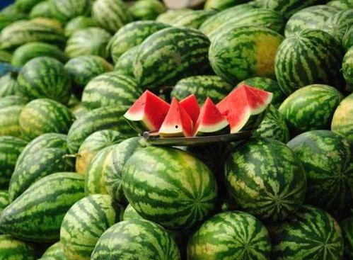 靖边网红吃瓜是谁啊视频