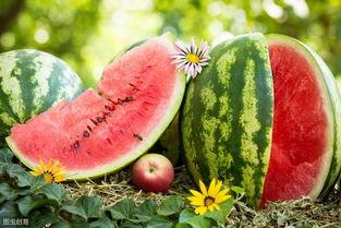 以前的网红跳舞吃瓜,揭秘网络红人的幕后生活