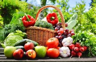 吃瓜网西安外国语,西安外国语大学风采展示