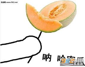 吃哈密瓜网图表情包