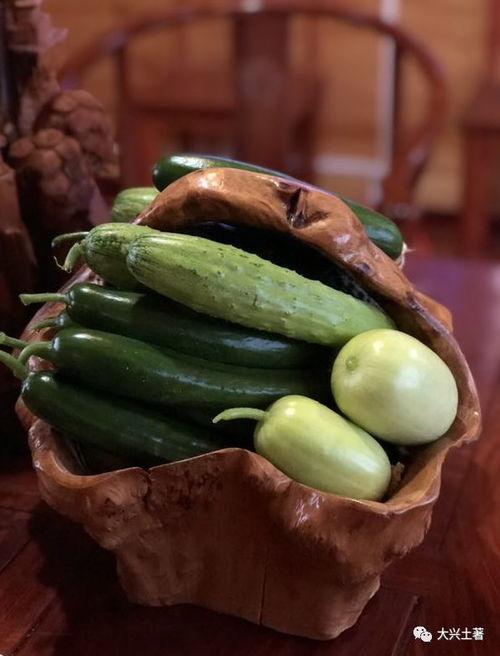 近期热门吃瓜网红有哪些