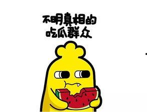 吃瓜网最新事件真相,最新事件背后惊人真相曝光