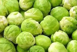 网红蔡二哥吃瓜视频大全,揭秘网红圈幕后故事