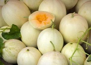 网红吃白兰瓜是真的吗知乎,真相揭秘还是炒作？