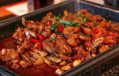 吃瓜网红蛙,揭秘蛙界热门话题