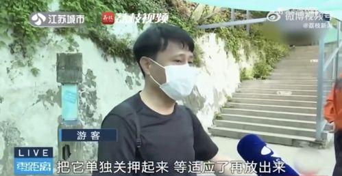 吃瓜网红男的是谁