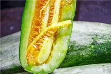 网红吃的那个是什么瓜,究竟隐藏着怎样的美味秘密？